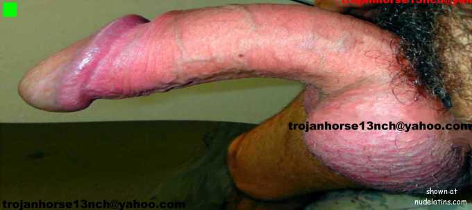 Big White Cock . women only  .NJ /NY 