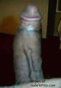 Curve for That Spot, Big Vessel in front for The Clit